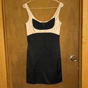 Never-worn BCBG bodycon dress (size 6)